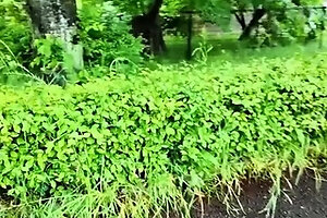 Amateur asian stepsister teen