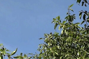 Pretty Blonde Teen Uses Fingers And Toys On Her Juicy Snatch