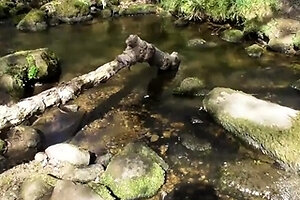 Hot amateur teen blowjob and facial HD video